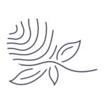 IB Logo Thumbnail