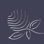 @individualbeautywien