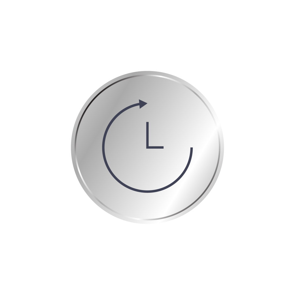 icon time silver