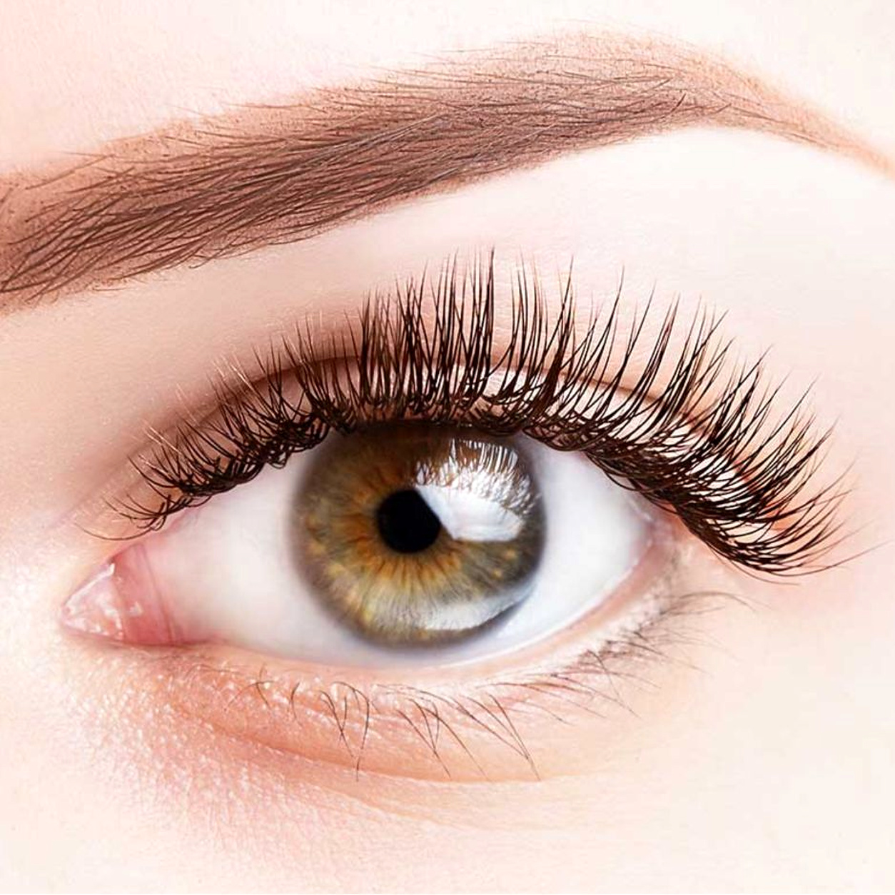 Wimpern und Augenbrauen